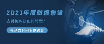 2021年支付机构财报专题